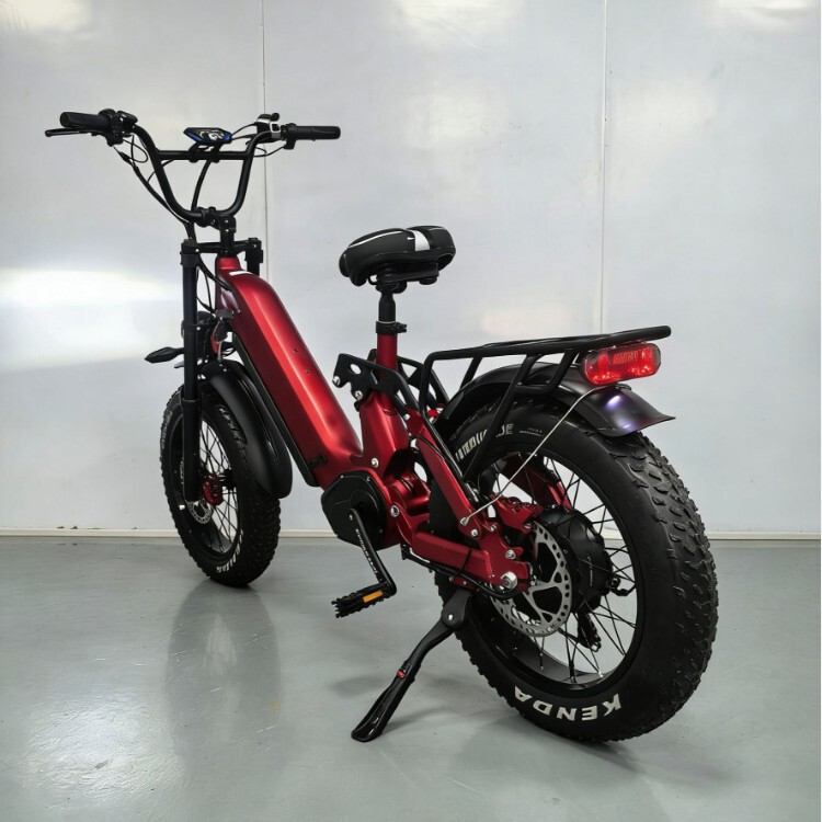 Specialized Cross-Border Supply from Europe and America 20inch Fat Tire 2-Wheel Electric Motorcycle Electric Bicycle Soft-Tail Mountain Electric Bike