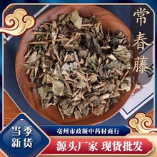 中药材常春藤 追风藤土鼓藤 钻天风 三角风 散骨风枫荷梨包邮