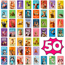 50���羳�¿����տ옷���ֿ�Ƭ�ɐی����������նY���֌����Կ�