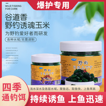 �ȵ���Ұ��T��������~�T�~Сș�ڿ�Ұ�ˮ����~���~�C���~�D��