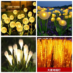 ��ƺ�ز����������ͥԺ���@���þ��^�bʟ�õ�廨��A��Շ���