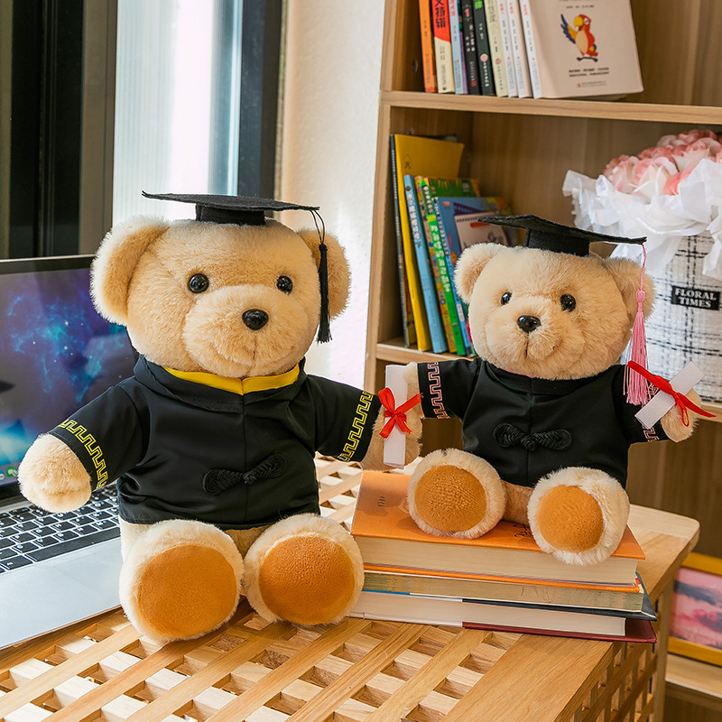 Teddy Bear Doctor Teddy Teddy