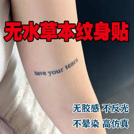 网红潮流个性英文字母纹身贴防水男女持久ins风高端无水草本纹身