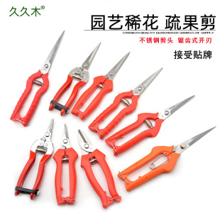 �þ�ľ���P��_��ժ��ϡ������载����軨���Ѳ�ժ�����@ˇ��֦��