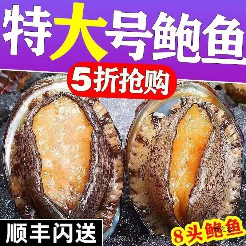 鲍鱼鲜活大新鲜冷冻个大鲜活海捕大非干一件代发批发