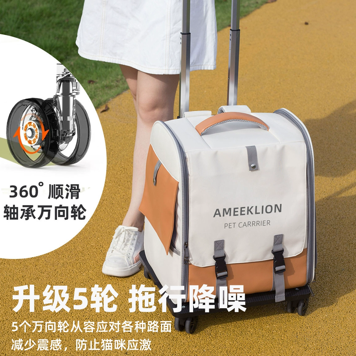 Suitcase to go out, capacious backpack
