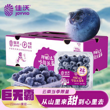 佳沃（joyvio） 云南精选蓝莓巨无霸22mm+ 4盒礼盒装 约125g/盒