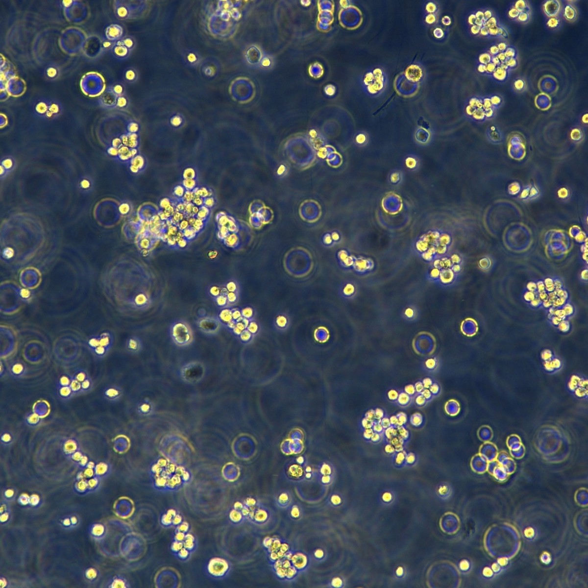 2025-11-05 15:30:45.jpg