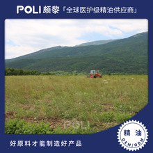 ���������M�����ݾ���ԭ���H�跼��������޹���ð�Ħ�η�����