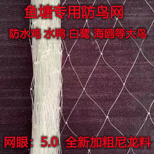 ����5���׿��~���������÷��B�W���f���r���q�зţ�ܷ��B�֝O��