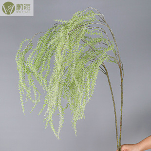 ����ֲ���ڒ��픻�c�bٻ��Gֲ�������~������֦����