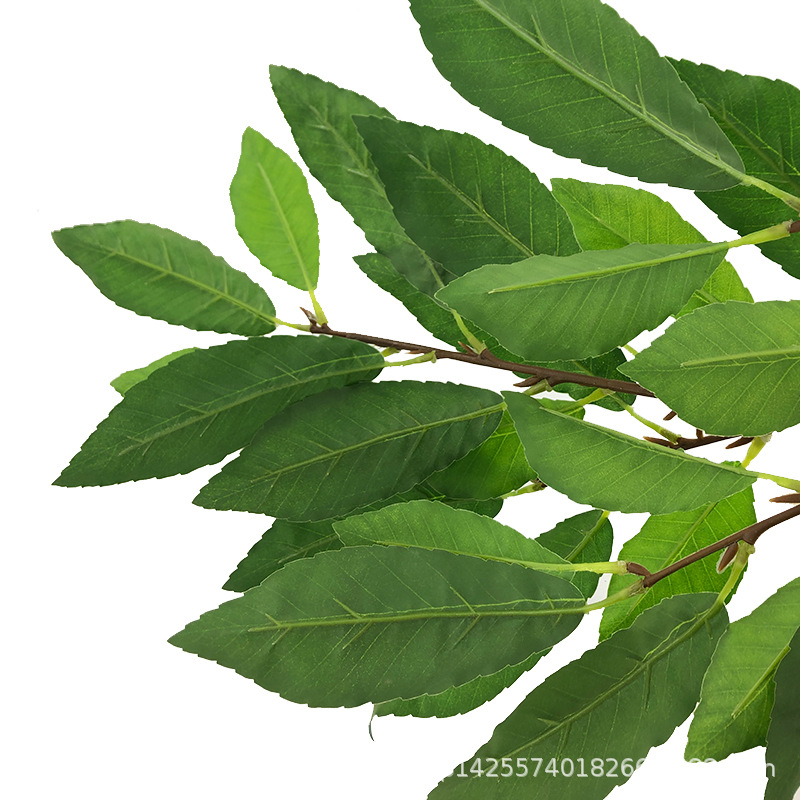 XRB-119 青杠叶四叉枝 (3).jpg