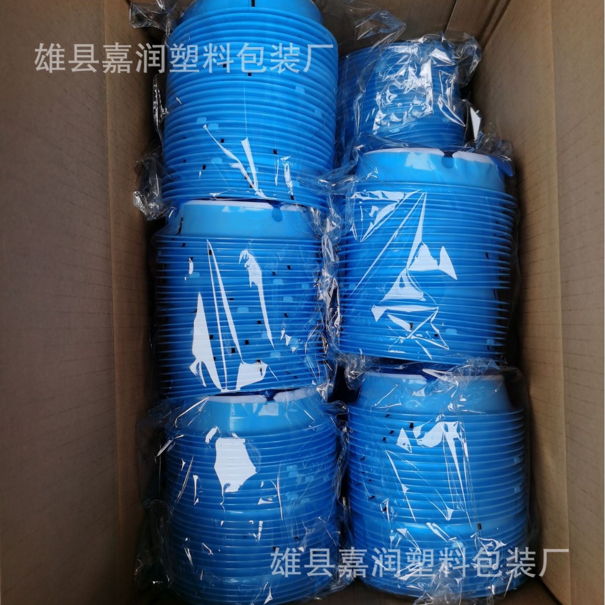 2025-04-01 19:33:22.jpg