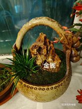 ���ѾGֲС�������˲��҃��k���҃����՚�ֲ��