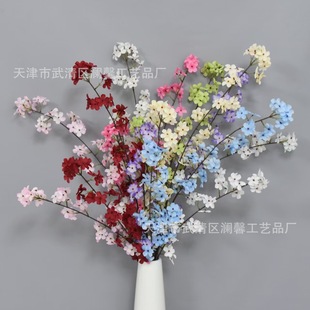 �¿���滨2��Ұ�ѻ����l��֦�ѻ� ��Y��픹��T�b廨���仨��