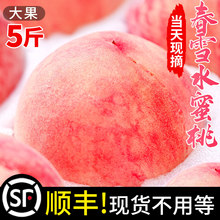 春雪水蜜桃当季5新鲜水果斤顺丰现货整箱包邮孕妇脆桃毛桃冬桃子