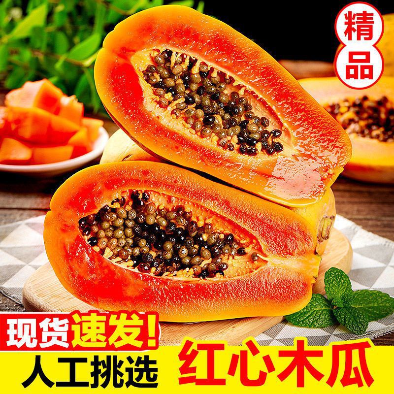云南红心牛奶木瓜新鲜水果下奶冰糖心非雷州树上熟大果