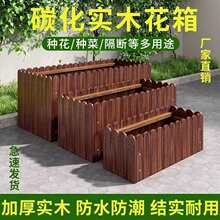 ����ľ�����L���νM�ϻ���ͥԺ�̨�N���茍ľ�řڷNֲ����⻨��