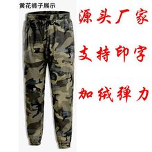 ���l�Բ��Lѝ�ڱ�����ѝ�Բ�ѝ���e��ʿ���ظɻ���Ӻ�ӽq����