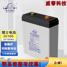 ��ʿ��늳�DJ100 2V100AH�U����S�oֱ����UPS�C���Դ�������