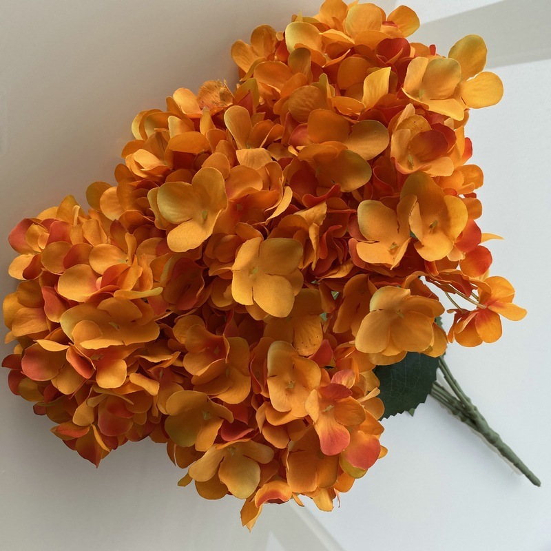 毛布5頭のフランスのアジサイは、ホテルの結婚式の生け花を飾って多色のアジサイの花の花束を卸売りします。|undefined