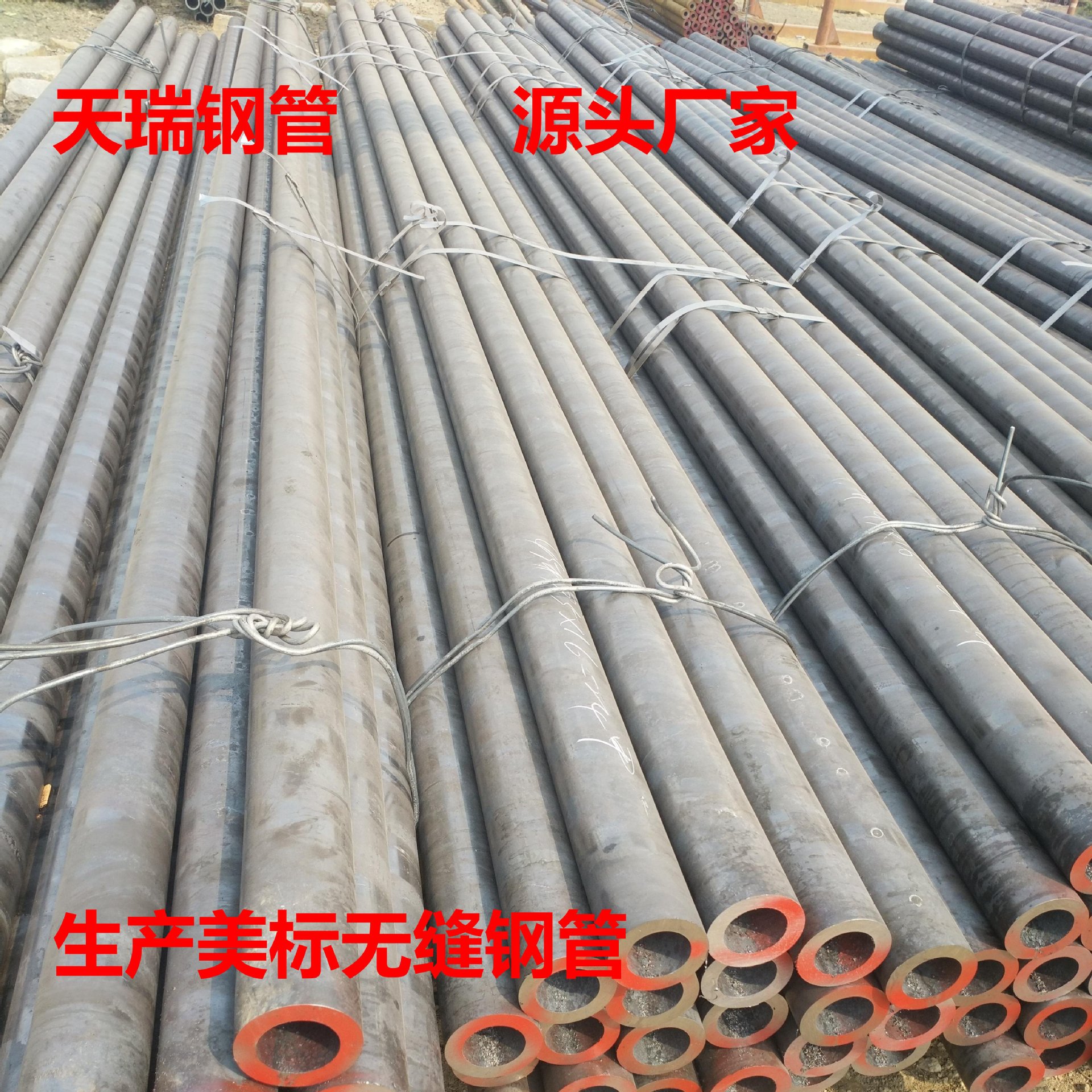 合金管 A213 T91 无缝钢管 A179无缝管 高压高温无缝管 厂家直供