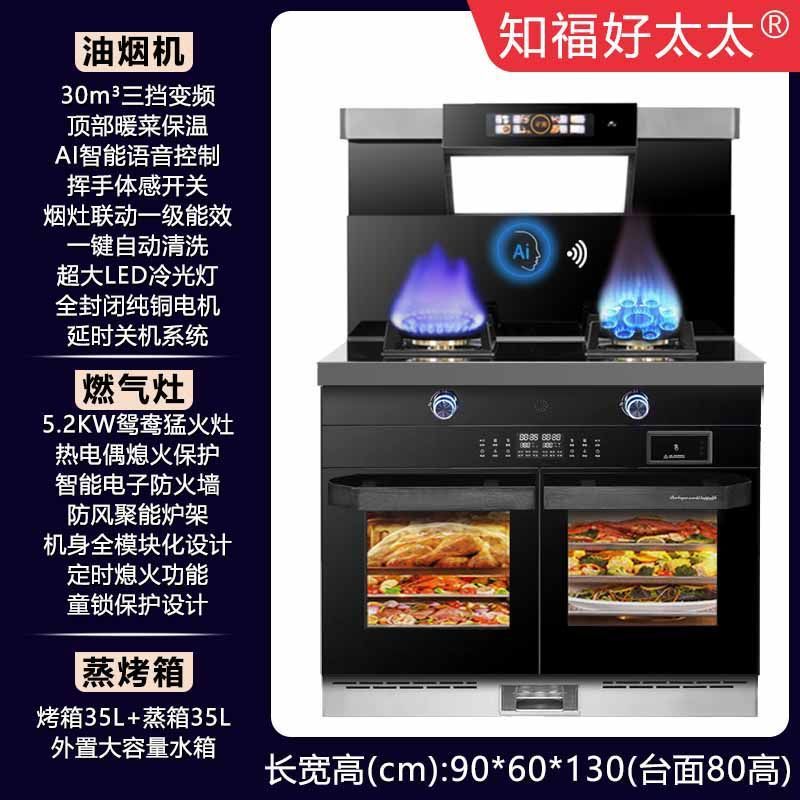 파이프라인 천연가스 [공장 직배송, 집앞배송] - 900 좌구건조, 우측찜 [AI 음성조절 슈퍼럭셔리]