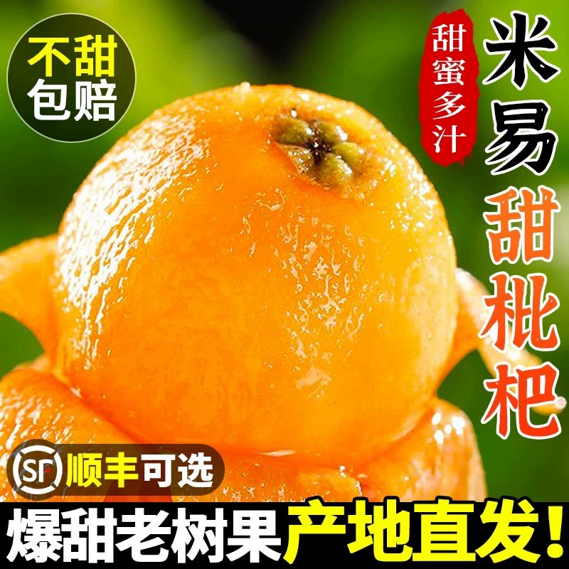 Свежие крупные плоды лохаты из Далианшаня, Паньчжихуа, Сычуань, премиум-качество, пятизвездочные свежие лохаты.