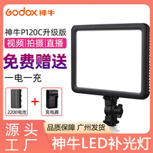 神牛LED补光灯P120C美食单反拍摄户外打光柔光便捷平板外拍摄影灯