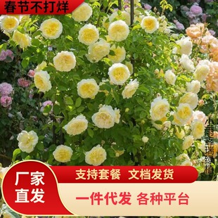 һ�����l18.8Ԫ6��6���Nޱ�����ٱ������^���Gֲֲ�������̨ͥԺ