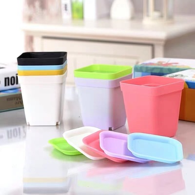 廠家供應加厚塑料多肉小黑方花盆 糖果色長方形育苗盆 批發多肉盆