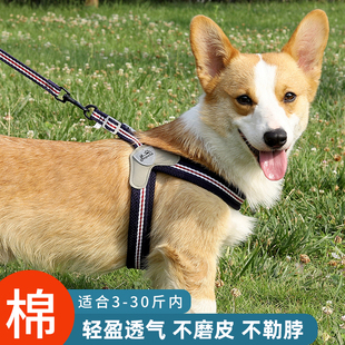 �޹������KС��Ȯ���K�Ӡ����K̩�Ͽ»�����Ȯ������ﱳ��ʽ���