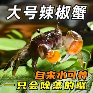 ��������з�^�pз�����з��ˮ�~�׳���ԼS���坍������ˮС�з