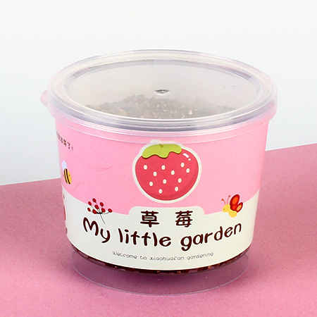 Niños plantan pequeños jardines de infantes fresas plantas de mesa mini caja ciega diy verde juguetes puestos al por mayor image 11