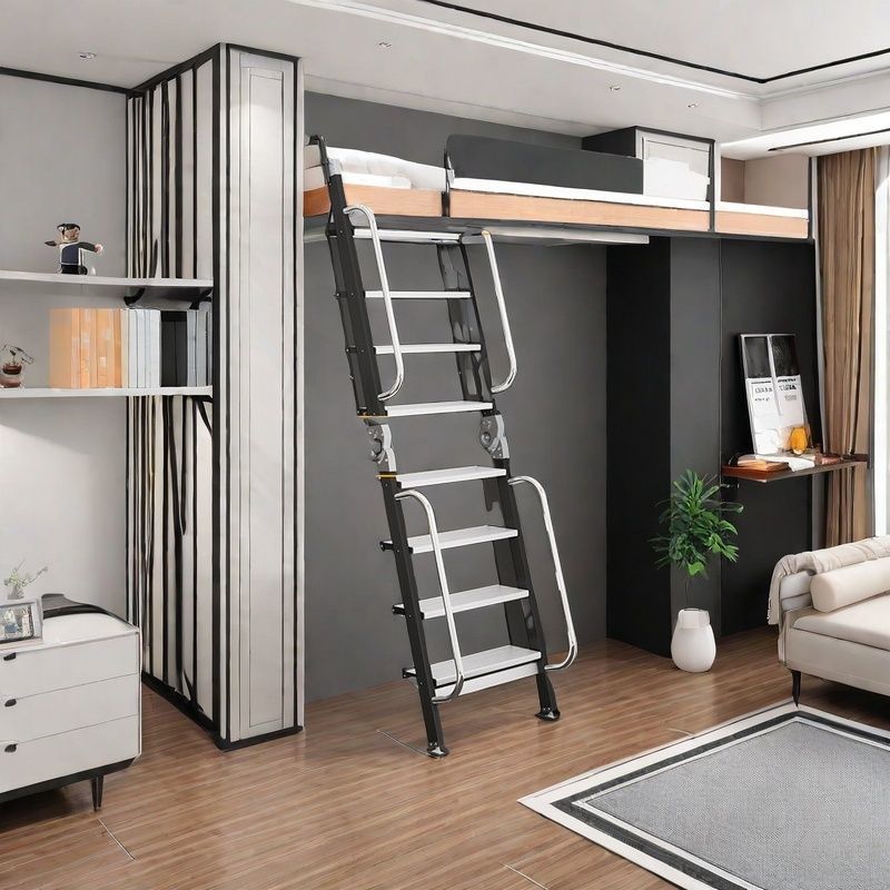 로프트丨블랙 더블 팔걸이 [6단사다리 2m] 접이식 겸용 탄소강