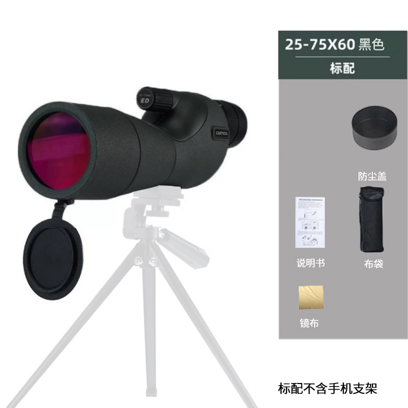 올블랙 스탠다드(ED 레드 필름)