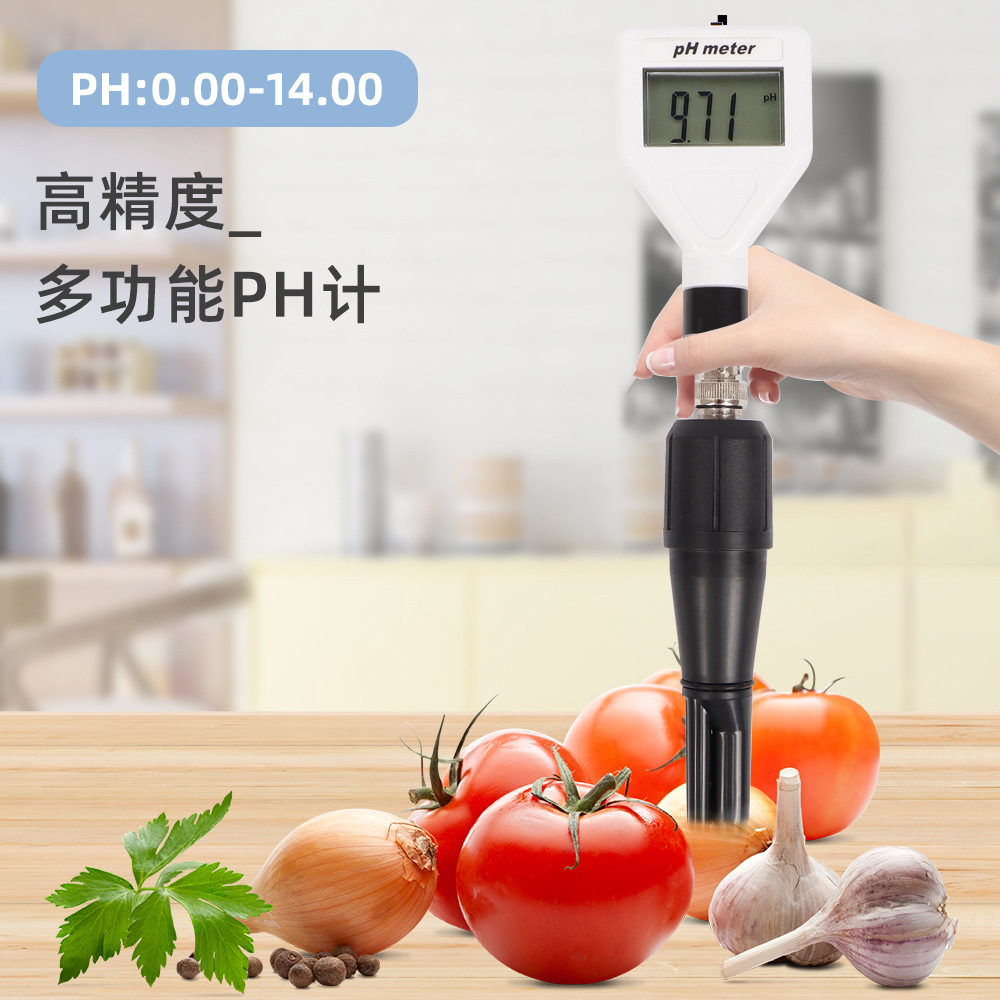 PH-98211pH计数字式酸度测试仪pH计土壤计白光背光测定奶酪肉土壤