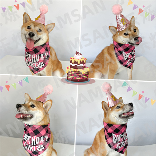 Pet birthday dress up set, cat and dog birthday hat, saliva scarf, digital birthday party decoration