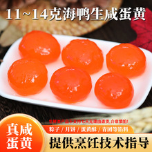 ���������̵��S��̖10-13��100ö/�����ӵ��S����決�������S