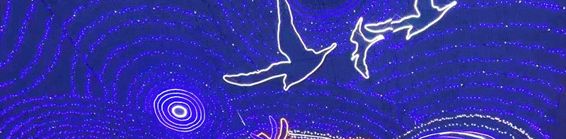 2021-详情页-220V-缕空天幕灯饰画-111_19.g