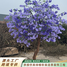 �����{�m������{��麘��ͼ٘�W�t�ѻ����S仨���b��쾰