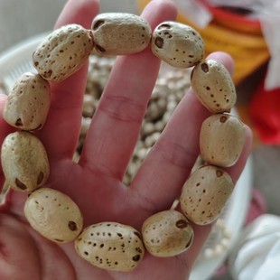 ������ͨ ������� ������ͨ������ ������ͨ�ִ� ���������l