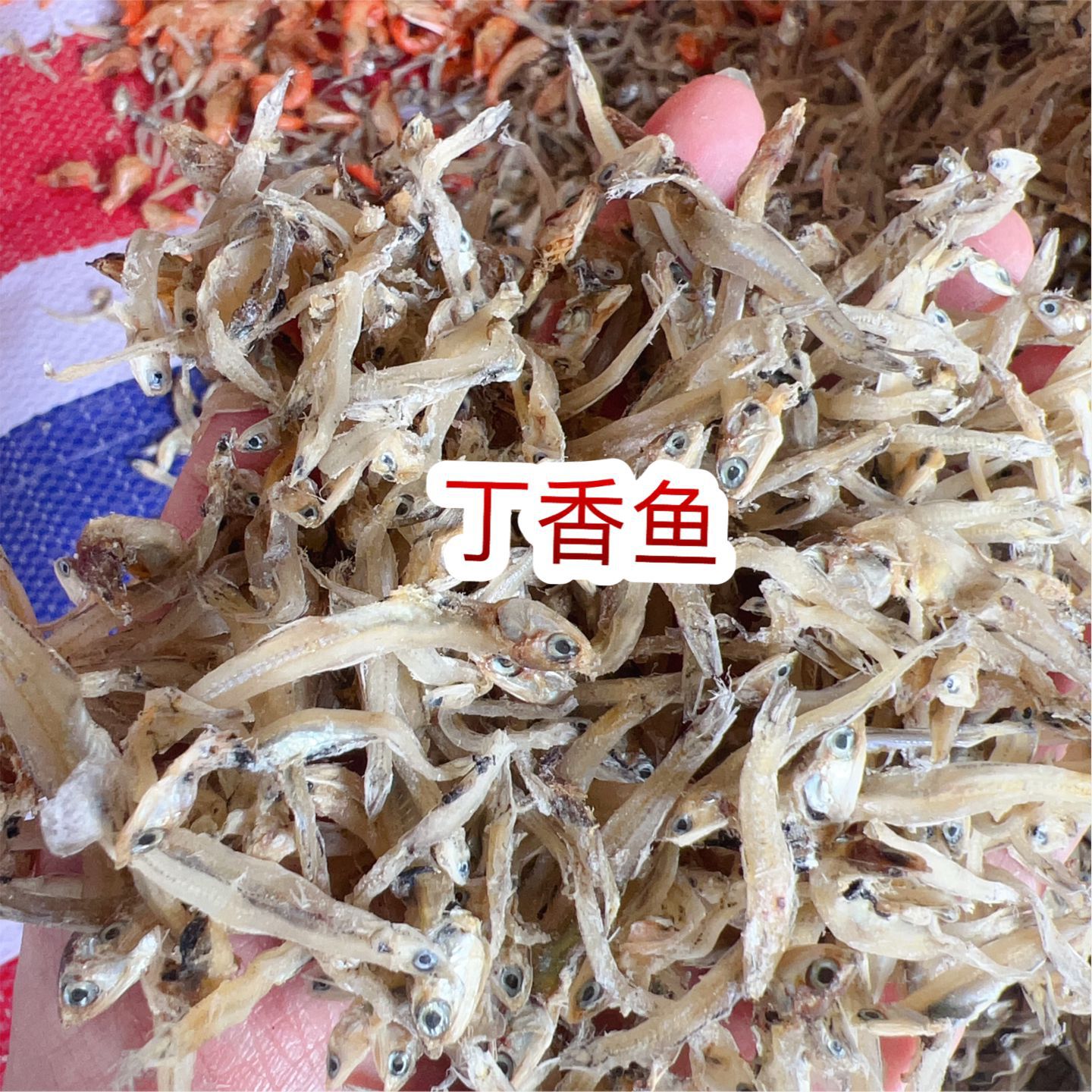鱼干 干鱼 地摊 电商 批发 越南公鱼干 丁香鱼干 小鱼干 小鱼仔