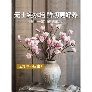 ˮ�໨�ܰ����m��֦�������r��ֲ���҃��r�к��B��ѩ���_����