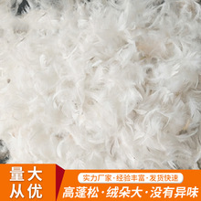 �] 2��4CMˮϴ����ë ɳ�l�������|����﷬��ë���l