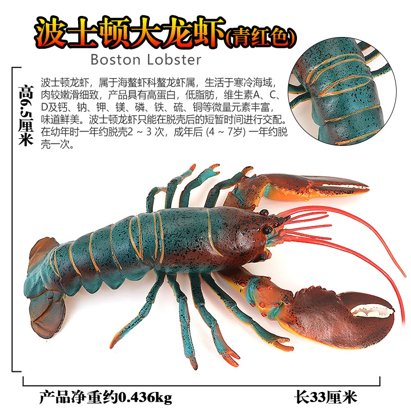 Игрушка, большие морские когнитивные украшения
