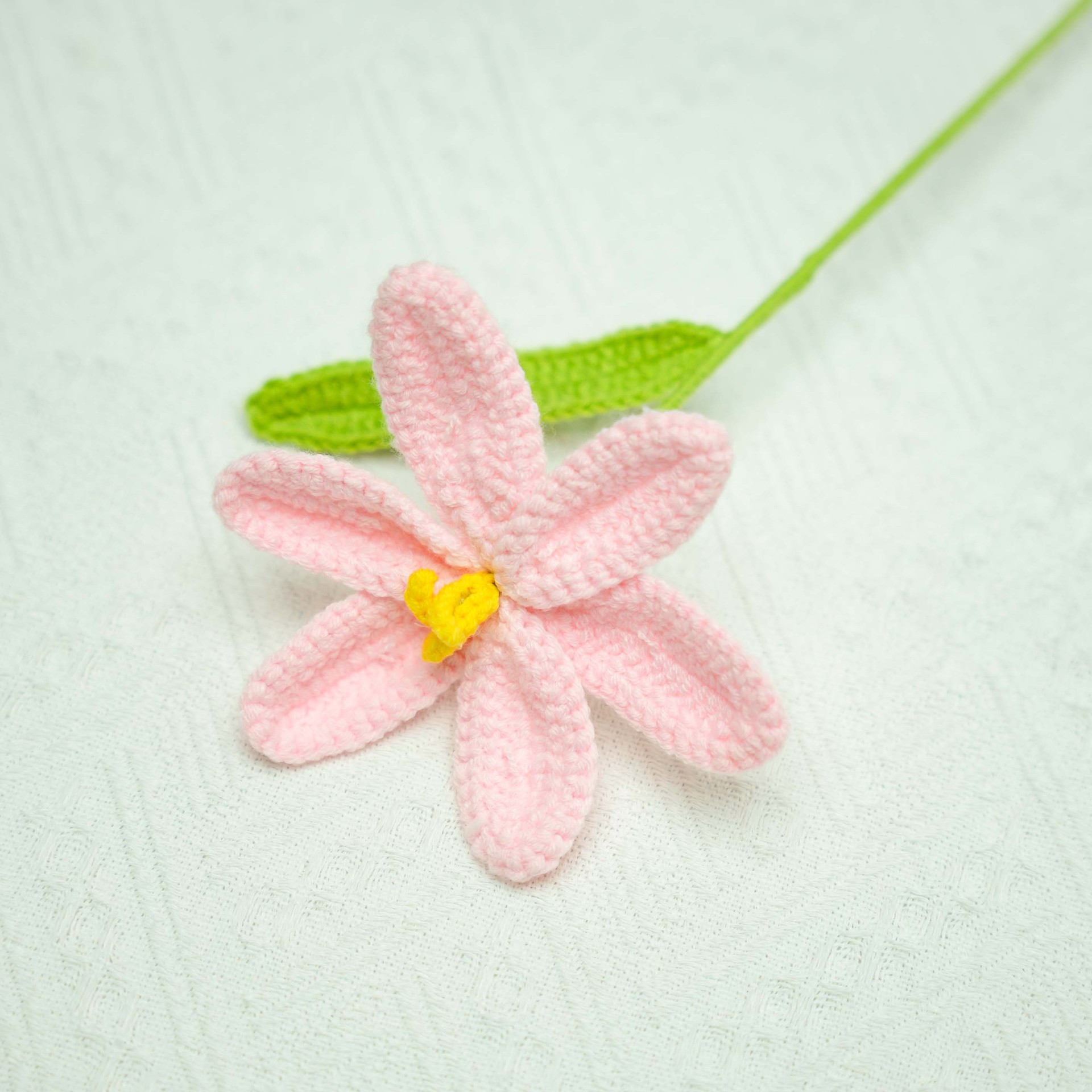 분홍색으로 열린 튤립