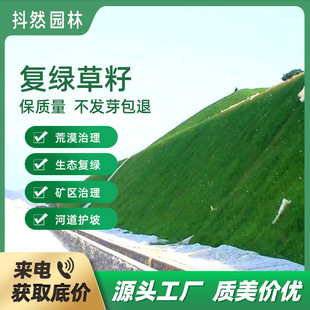 ���B�ޏ�ɳ�����������|��ɳ������ľϬ�ϻ���ޣ���l�N������