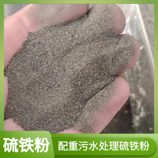 ���F�ۏS�ҹ������������F����ˮ̎�����F�V�S�F�V�򻯁��F����