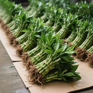 �������F��ˮ��ɻ��Ĳ������Դ��~��֦�҃ȳ���͏d���ԃ����՚�